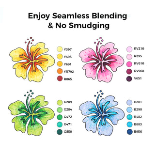 Ohuhu Oahu 80 Colors Dual Tips Alcohol Art Markers, Fine & Chisel (Canada Domestic Shipping)